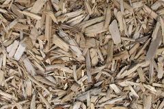 biomass boilers Aylburton
